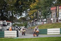 Lower Group Orange Bikes